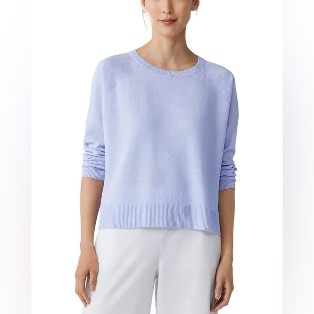 EILEEN FISHER raglan sleeve organic linen & cotton crewneck